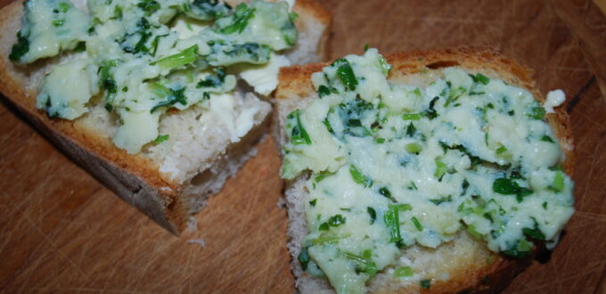 Ser domowy (hauskyjza)