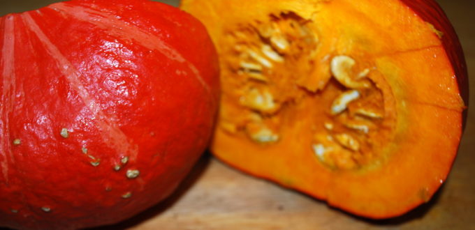 Krem z dyni hokkaido